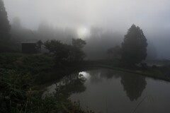 濃霧