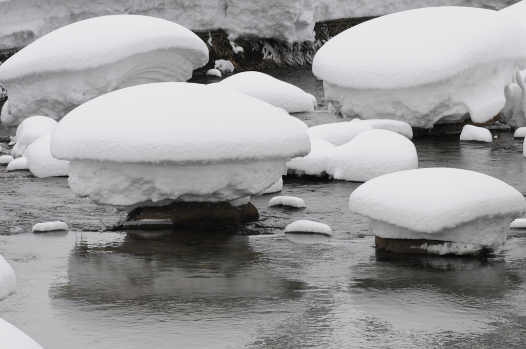 新潟雪便り８