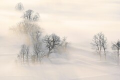 ２月２１日の風景