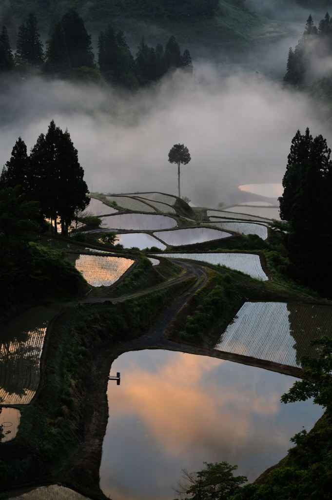 朝焼け雲