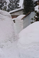 雪の細道