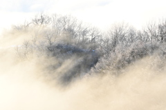 霧と霜の競演