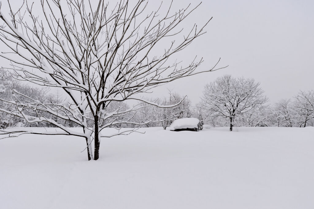 小屋と雪の景色