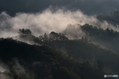 霧の山脈