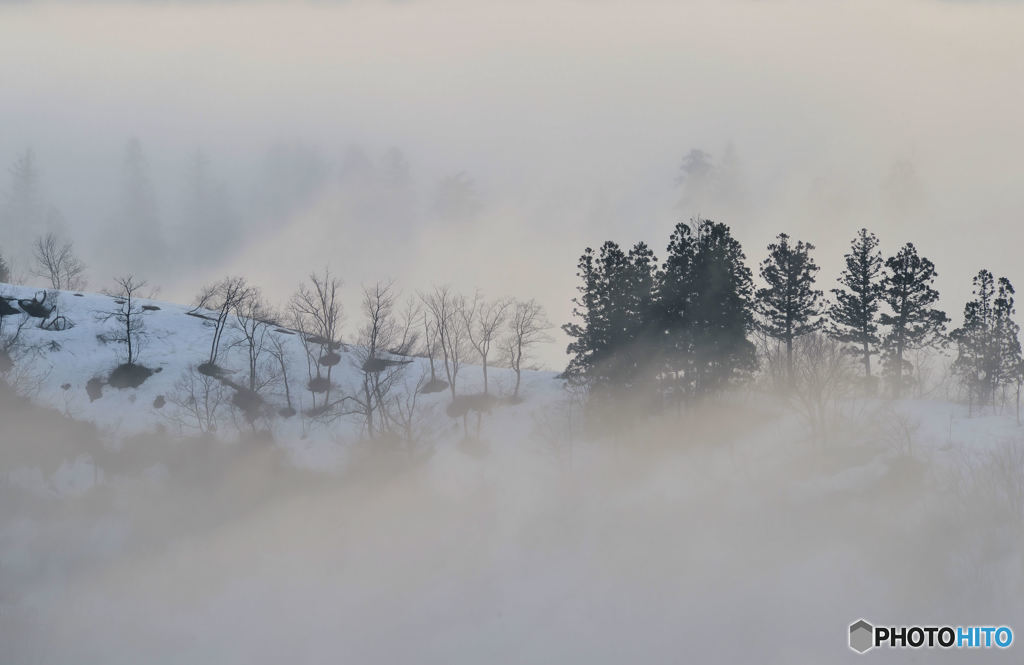 霧の風景