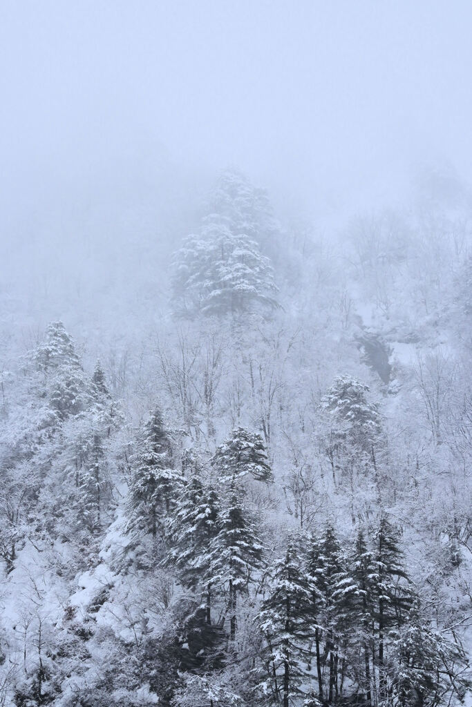 水墨の風景