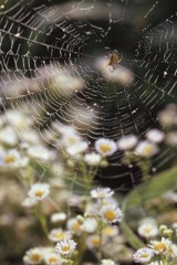 花見の特等席