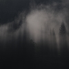 霧