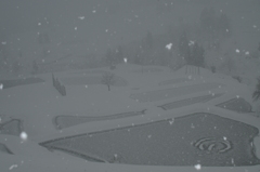 雪蛍舞う棚田