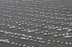 新潟雪便り２