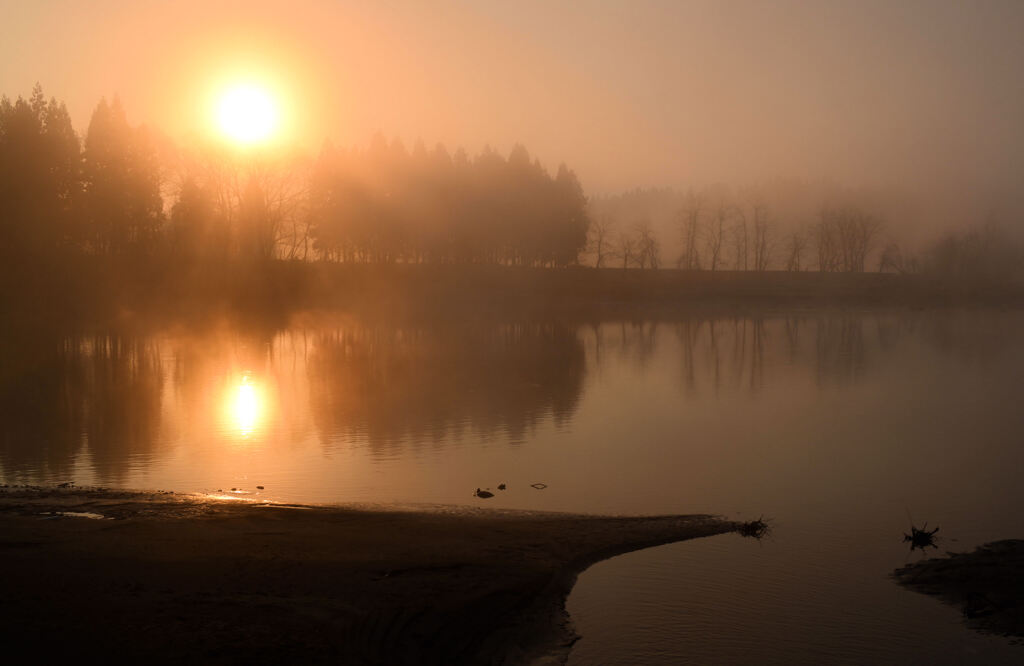 水辺の風景