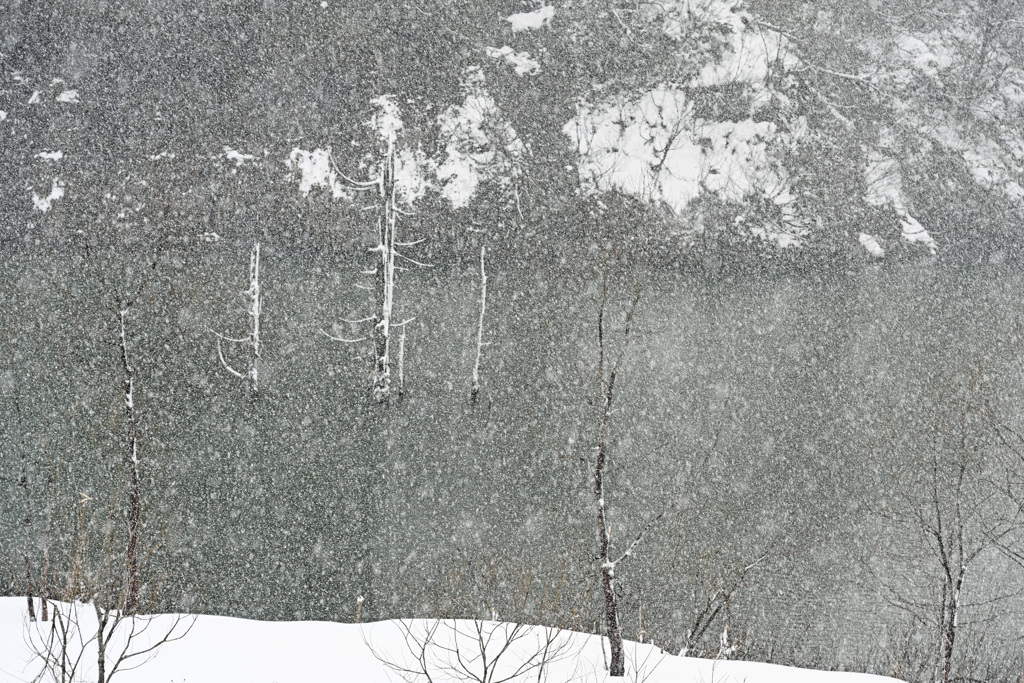 なごりの雪景色