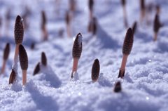 僕の出番早すぎたのかな？