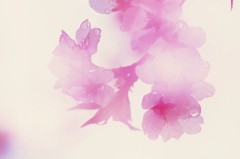 光彩