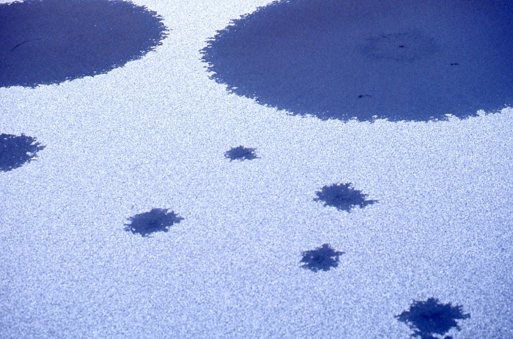 雪解け模様