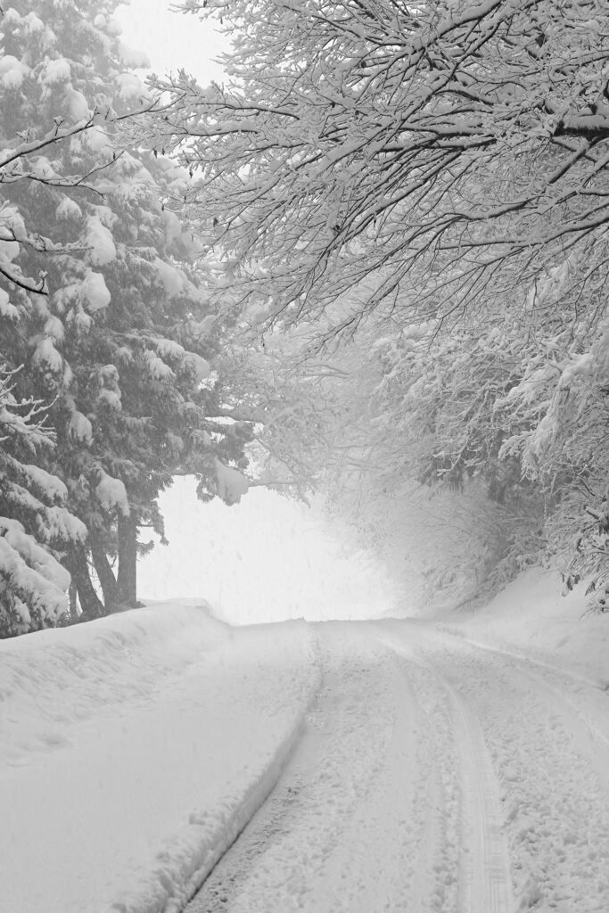 雪の峠道