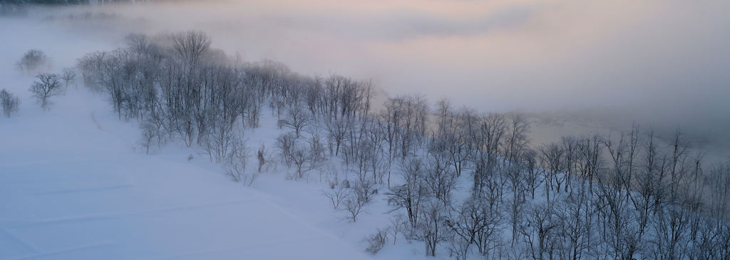 霧の向こうに見える