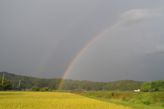 恵みの雨と虹