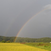 恵みの雨と虹