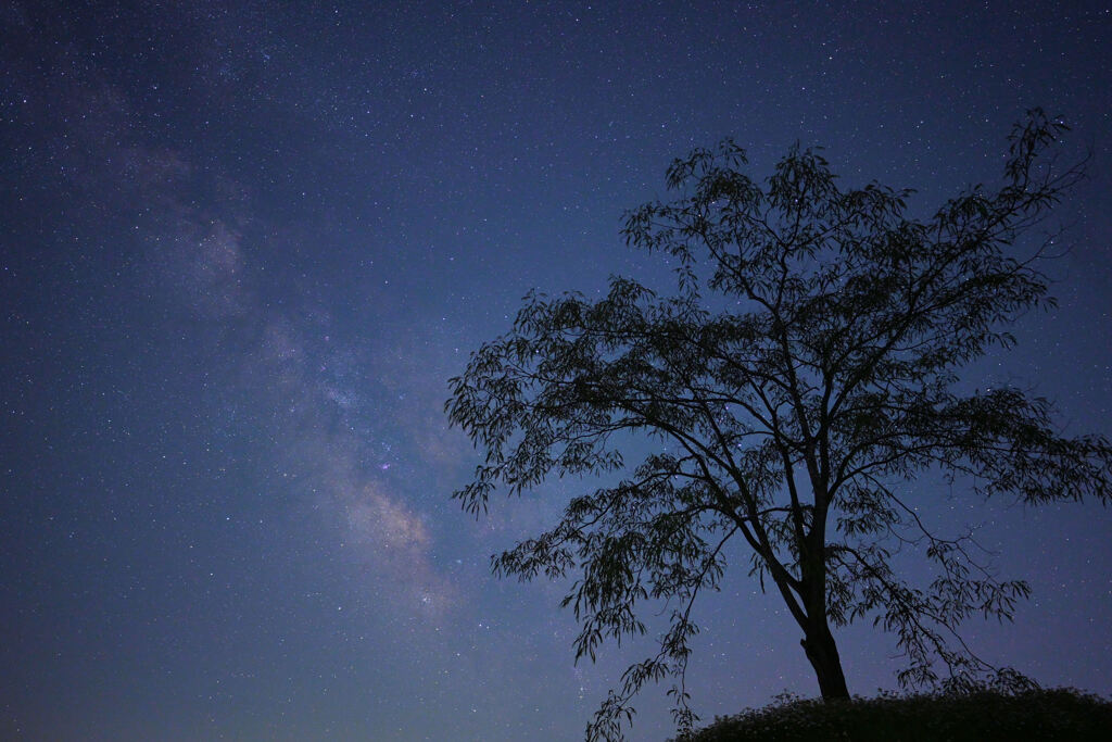 夏の夜空