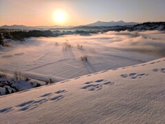 ２月２１日の朝日