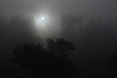 濃霧