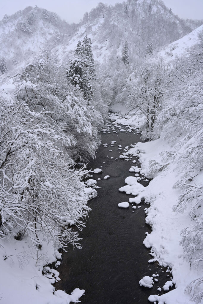 雪の渓流