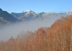 初雪と紅葉