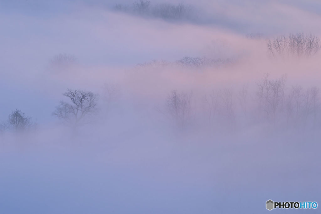 霧の情景