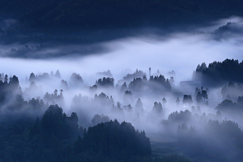 霧流れる里山