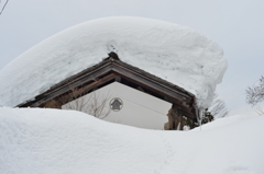 豪雪の現実