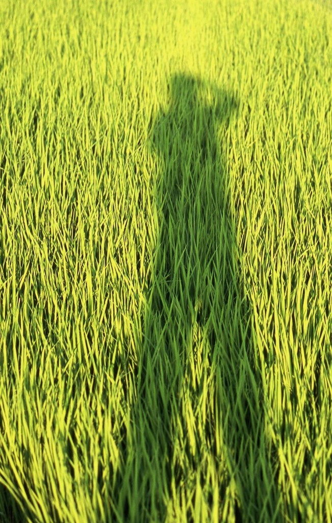 足長オヤジ