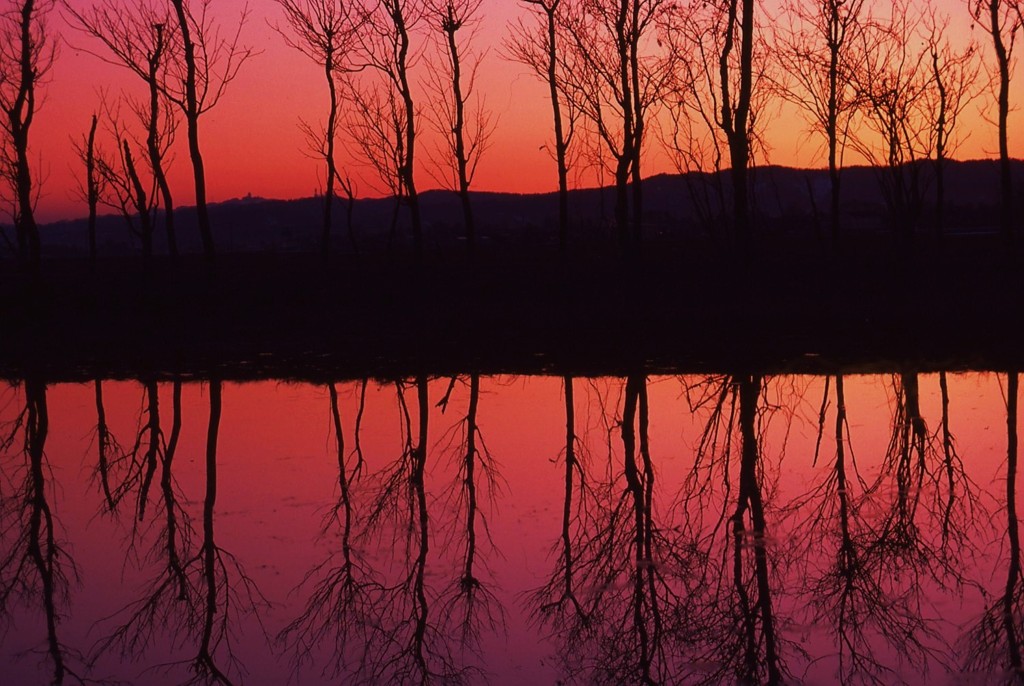 写り込みの夕日