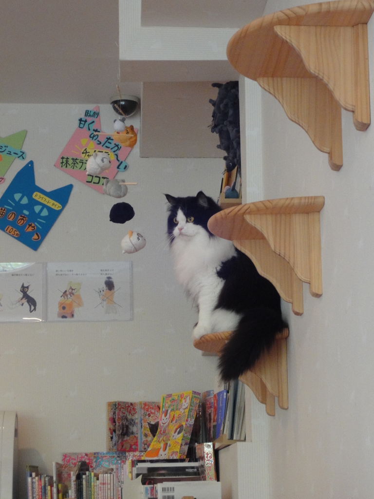 ダッシュして乗る