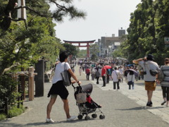 炎天下の参道
