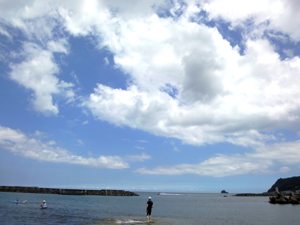 飛び込みたい海