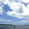 飛び込みたい海