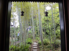 竹庭