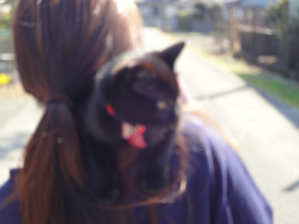 誰の散歩？