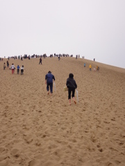 砂丘を登る