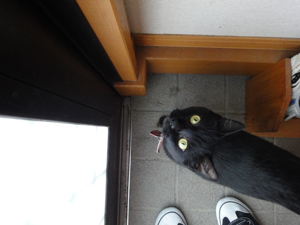 出して～