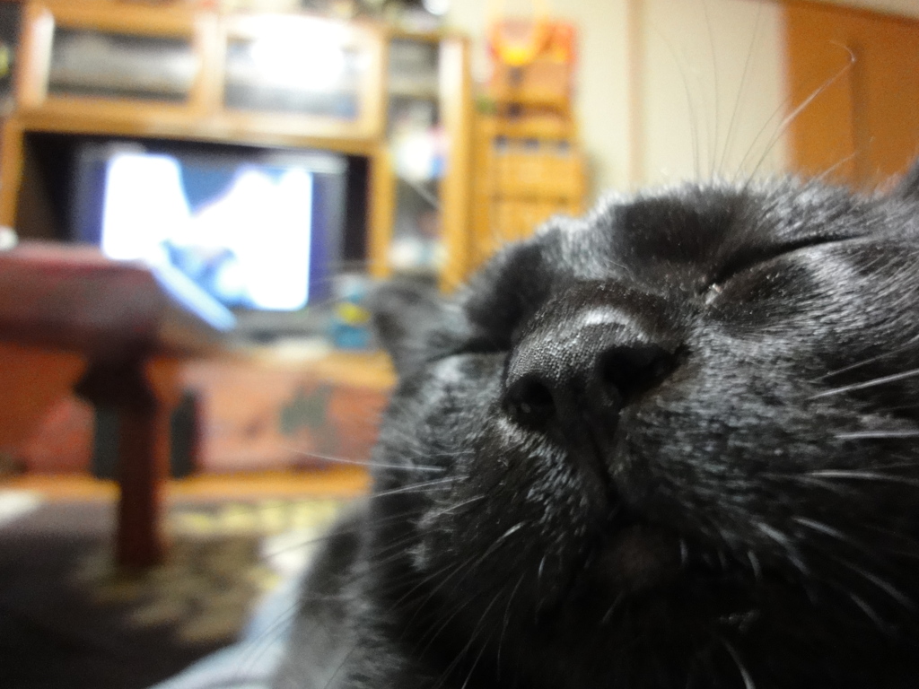 くつろぐ