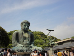 大仏さん