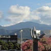 伊東に行くなら
