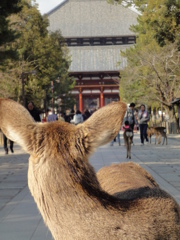 見つめる