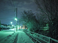 冬到来