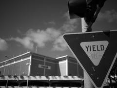 ＹＩＥＬＤ