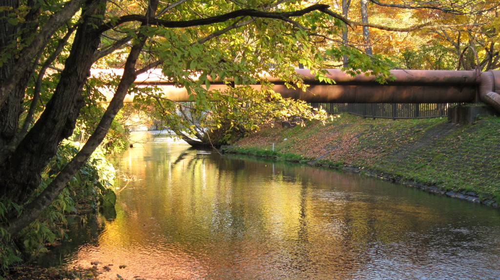 湧水の川　　千歳