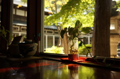 小林酒造　小林家　築１１７年