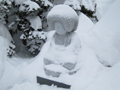 小樽・天上寺　らほつ